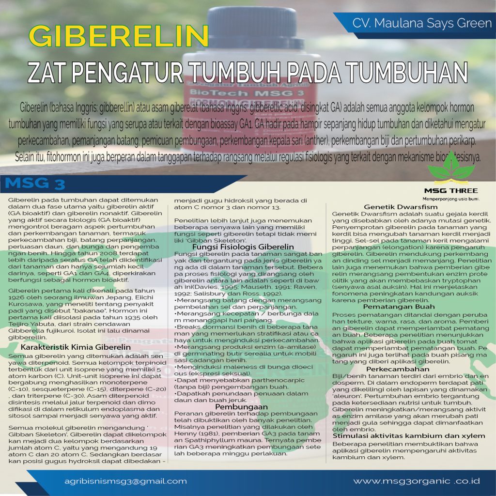 giberelin-zat-pengatur-tumbuh-pada-tumbuhan