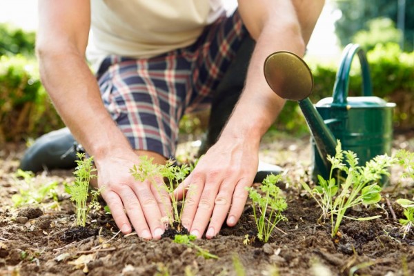 berkebun-jadi-pilihan-aktivitas-saat-bulan-puasa