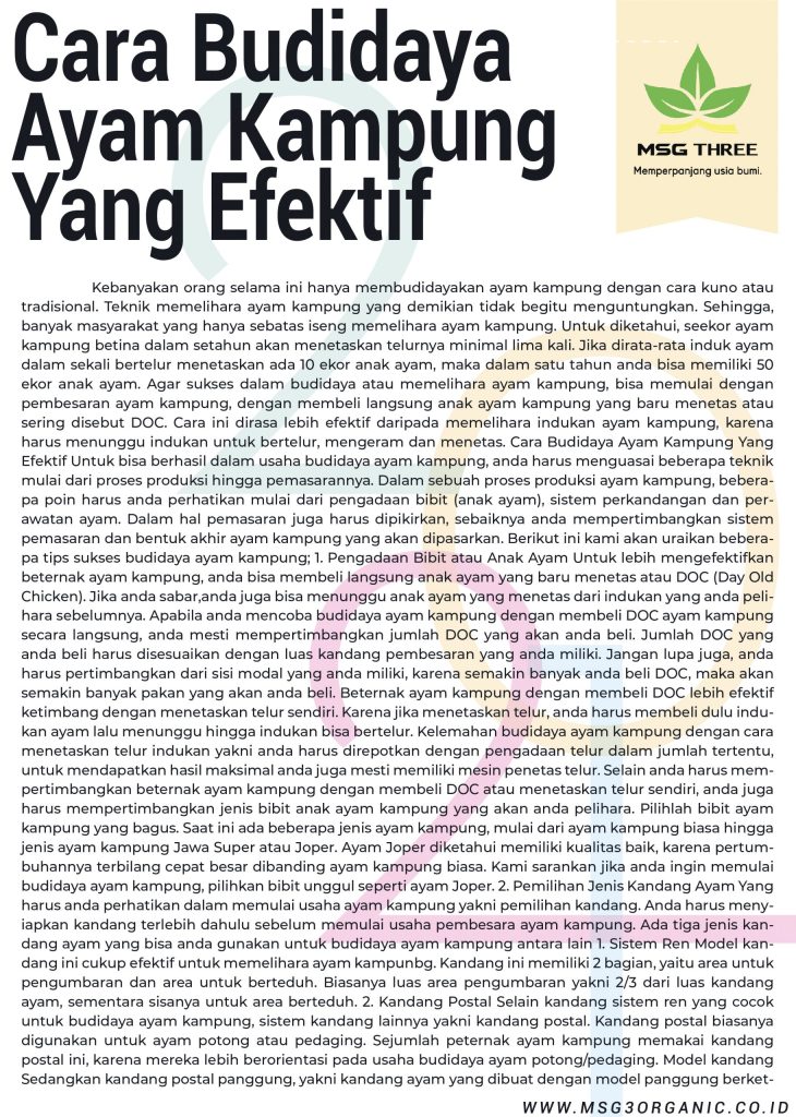 cara-budidaya-ayam-kampung-yang-eektif