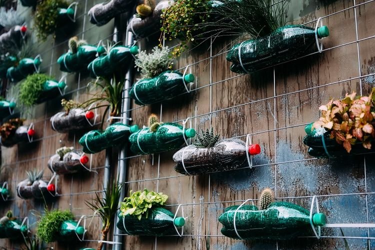 BISNIS-BERKEBUN-DI-RUMAH