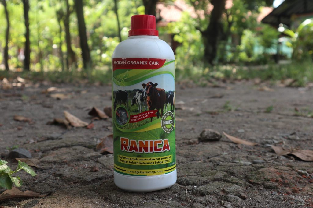 CARA-MENINGKATKAN-BOBOT-IKAN-LELE