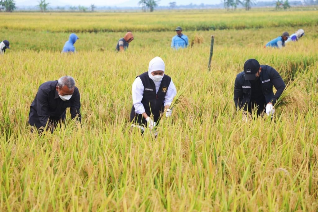 Pemprov-Jatim-Wujudkan-Kedaulatan-Pangan