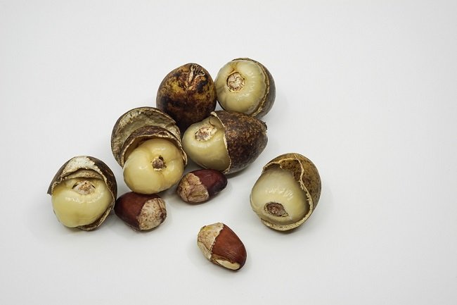 Manfaat-Buah-Matoa-untuk-Kesehatan