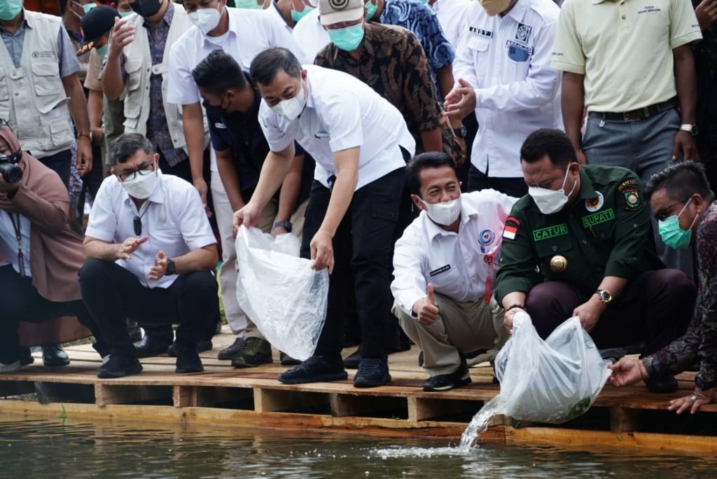 Restocking-Ikan-Endemik-di-Kampar