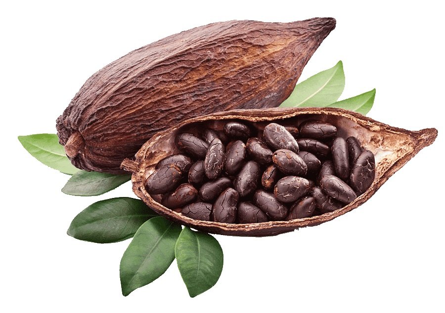 8-Manfaat-Kakao-bagi-Kesehatan