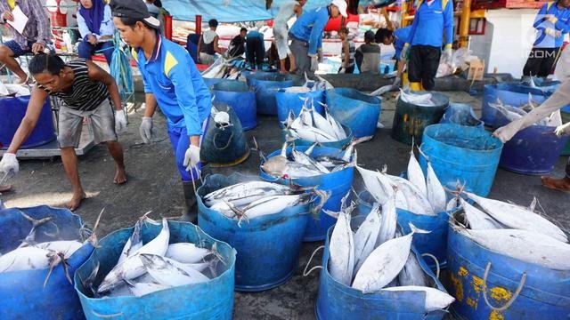 Ada-12.01-Juta-Ton-Potensi-Ikan-per-Tahun