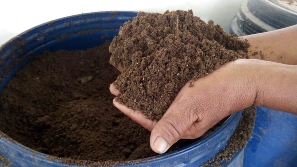 Pembuatan-Kompos-Dari-Kotoran-Sapi