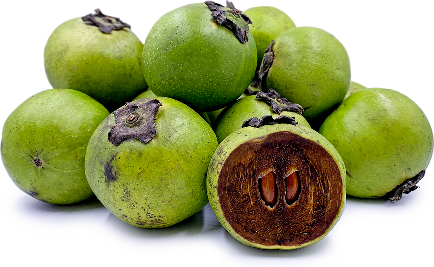 Ini-Dia-8-Manfaat-dari-Buah-Black-Sapote