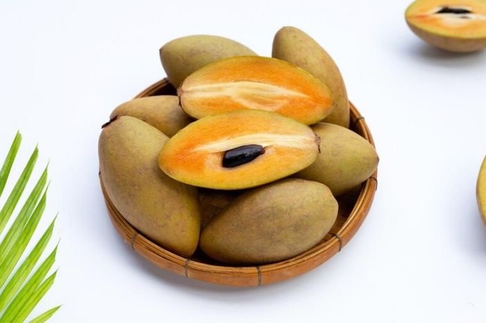 Manfaat-Buah-Sawo-Untuk-Kesehatan