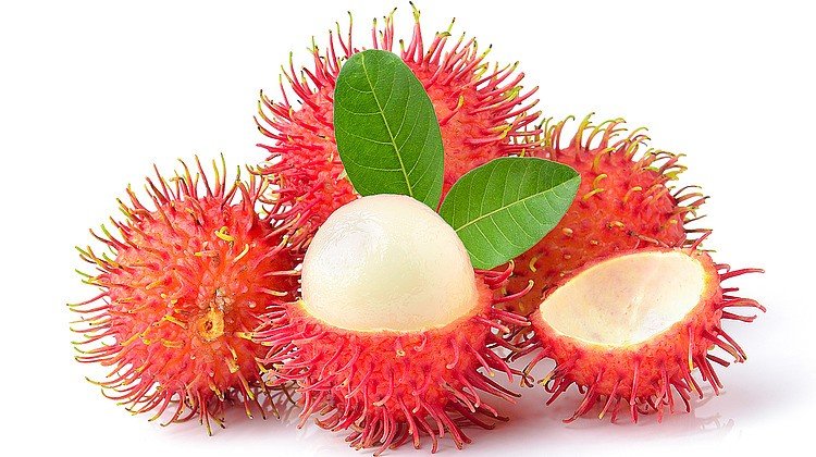 Manfaat-Rambutan-Untuk-Kesehatan-Tubuh