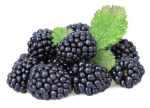 Manfaat-Buah-Blackberry-Untuk-Kesehatan