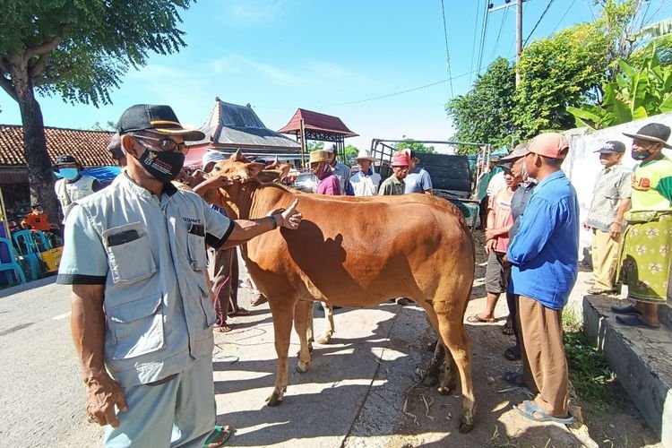 Pasar-Sapi-di-Madura-Kembali-Normal