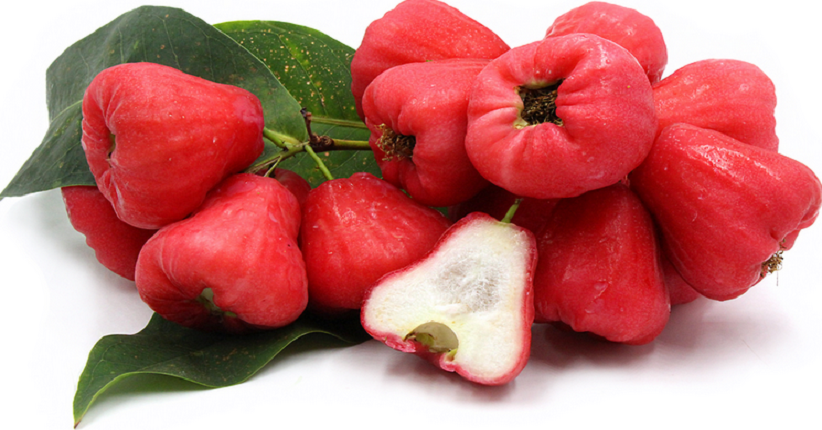 Manfaat-Jambu-Air-untuk-Kesehatan-Tubuh