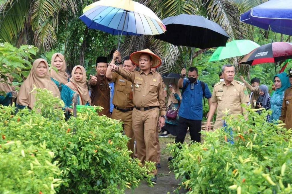 Gerakan-Tanam-Cabai-di-Kota-Pekanbaru
