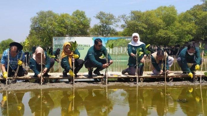 Kegiatan-Tanam-Mangrove-Di-Jatim