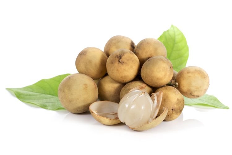 MANFAAT-BUAH-DUKU-UNTUK-KESEHATAN