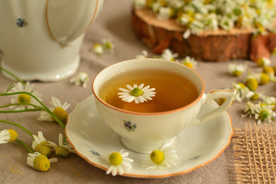 5 Tanaman-yang-bisa-dijadikan-Minuman-Teh