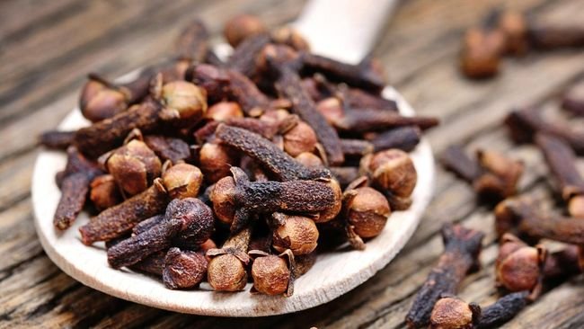 5-Tumbuhan-Bermanfaat-untuk-Fungisida-Nabati