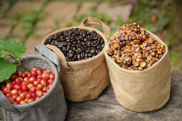 5-Negara-Penghasil-Kopi-Terbesar-di-Dunia