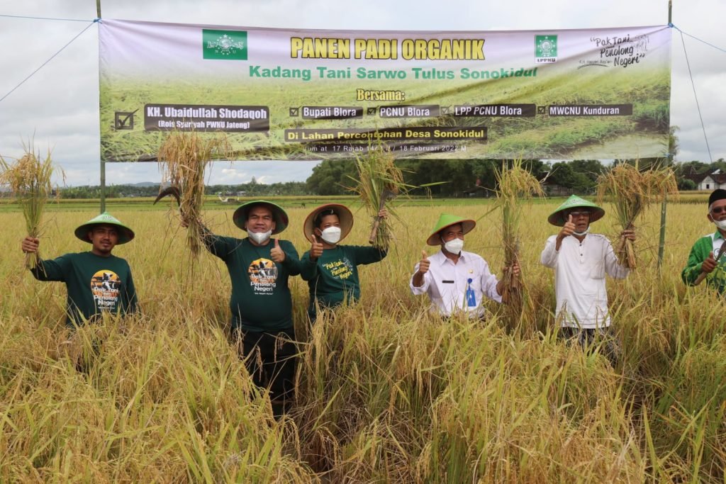 Petani-Blora-Mulai-Beralih-Ke-Pertanian-Organik