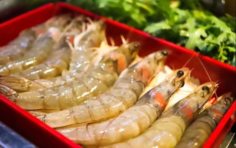 Budidaya-Udang-Vaname-Agar-Untung-Besar