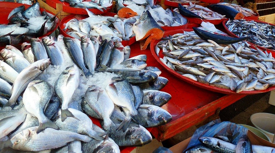 5-Negara-Penghasil-Ikan-Laut-Terbesar