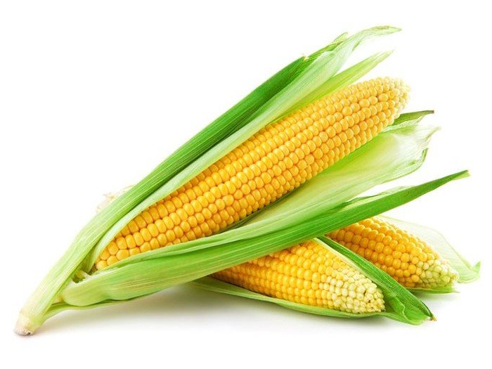 Jagung-Ternyata-Termasuk-Jenis-Buah