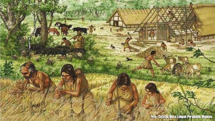 5-Hasil-Pertanian-Pada-Zaman-Prasejarah