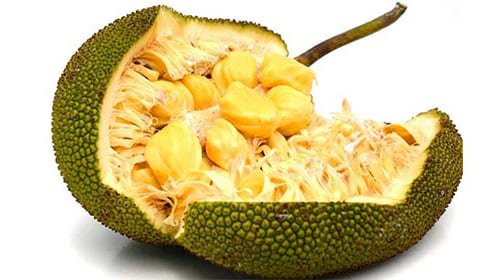Manfaat-Buah-Cempedak-Yang-Wajib-Diketahui