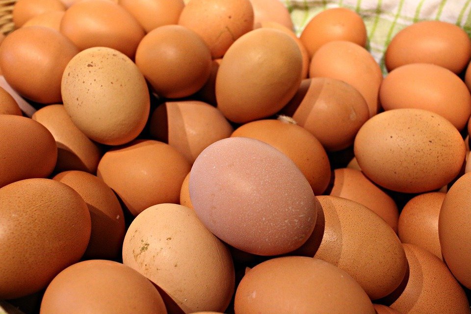 Harga-telur-ayam-di-Blitar-naik-capai-Rp26.000/kg