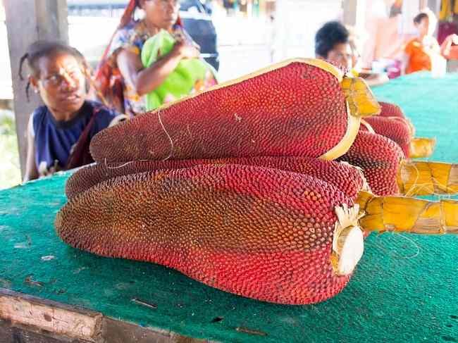 Buah-Merah-Buah-Unik-Dari-Papua