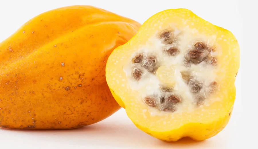 Manfaat-Buah-Carica-Untuk-Kesehatan